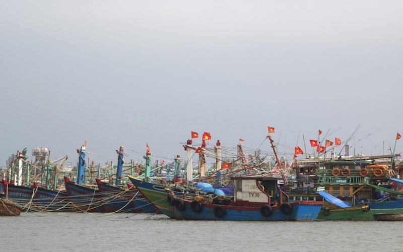 VNTB – Trung Quốc lại cấm ngư dân Việt Nam đánh bắt cá trên vùng biển của… Việt Nam