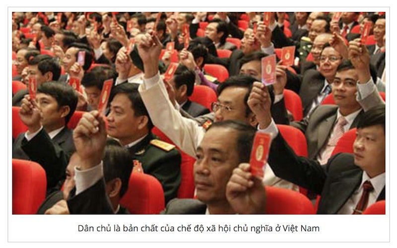 VNTB – Kính vạn hoa về xã hội dân sự ở Việt Nam