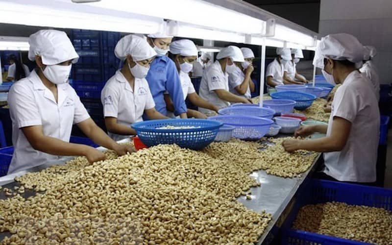 VNTB – Thị trường xuất khẩu hạt điều của Việt Nam sẽ còn khó cả năm 2023