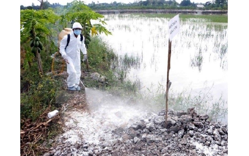VNTB – Việt Nam phát cảnh báo về cúm gia cầm A/H5N1