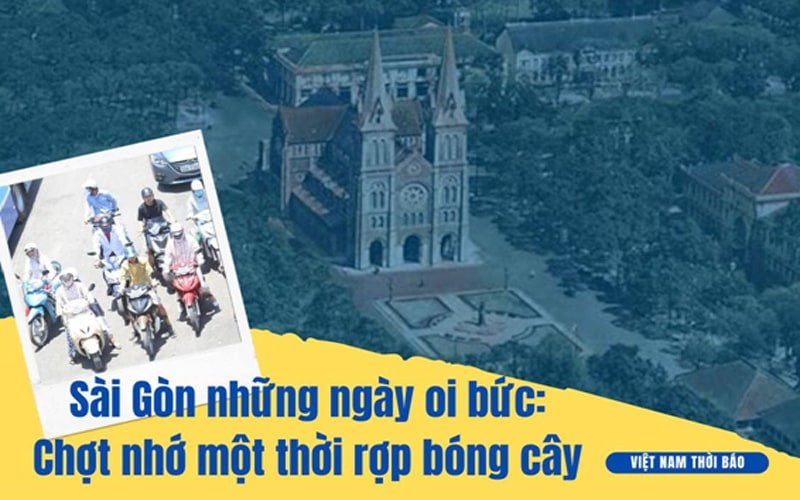 VNTB – Sài Gòn những ngày oi bức, chợt nhớ một thời rợp bóng cây!