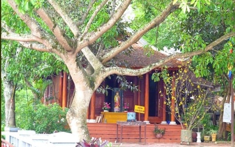 VNTB – Tăng, ni và việc cất thất sinh hoạt ngoài Giáo hội Phật giáo Việt Nam